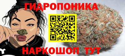 apvp Ачхой-Мартан