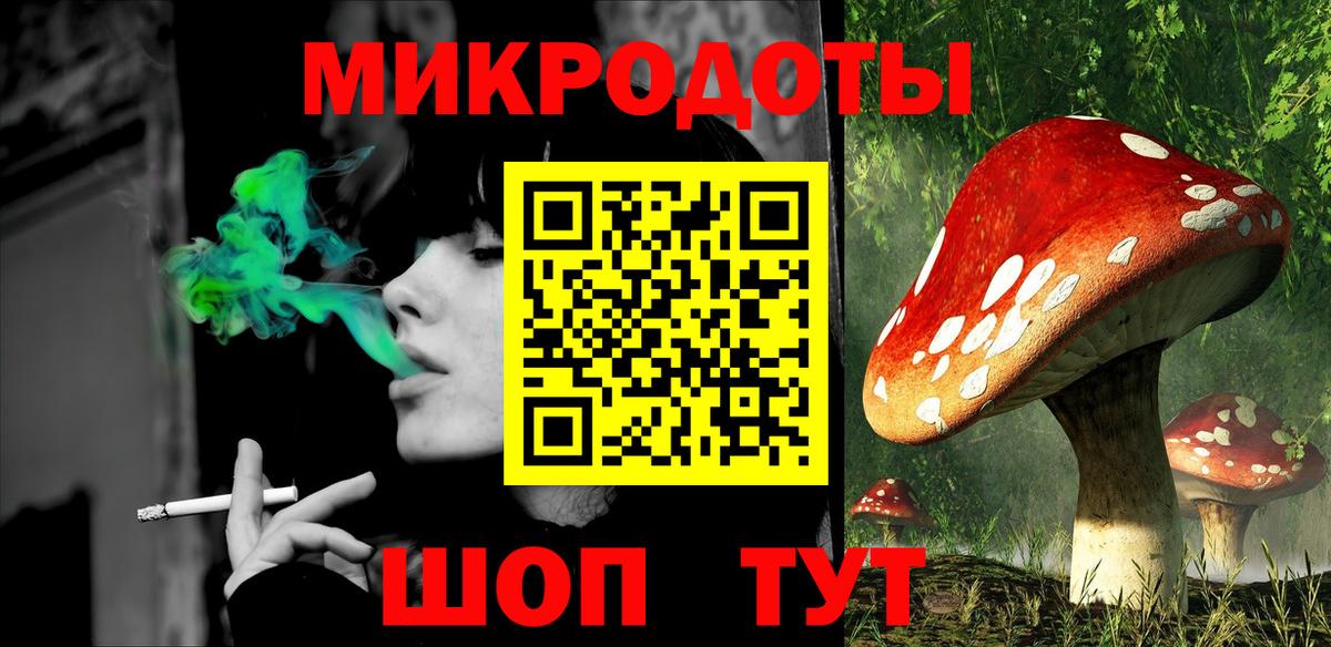 Владивосток  Псилоцибиновые грибы Psilocybine cubensis  Вход с VPN 